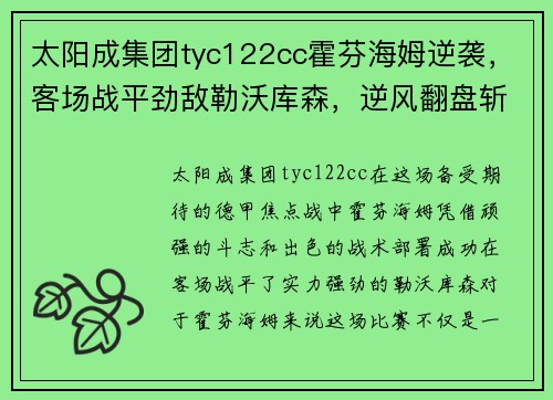 太阳成集团tyc122cc霍芬海姆逆袭，客场战平劲敌勒沃库森，逆风翻盘斩获关键一分